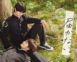 上饶seo优化加盟